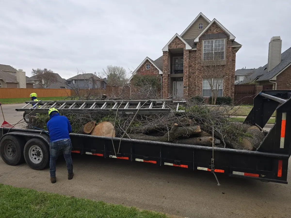 Expert Crown Reduction with proper safety equipment in Lake Fork